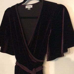 Plum Velvet Calvin Klein Dress